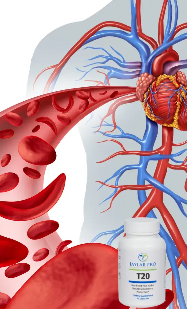 bloodflow guardian blood flow